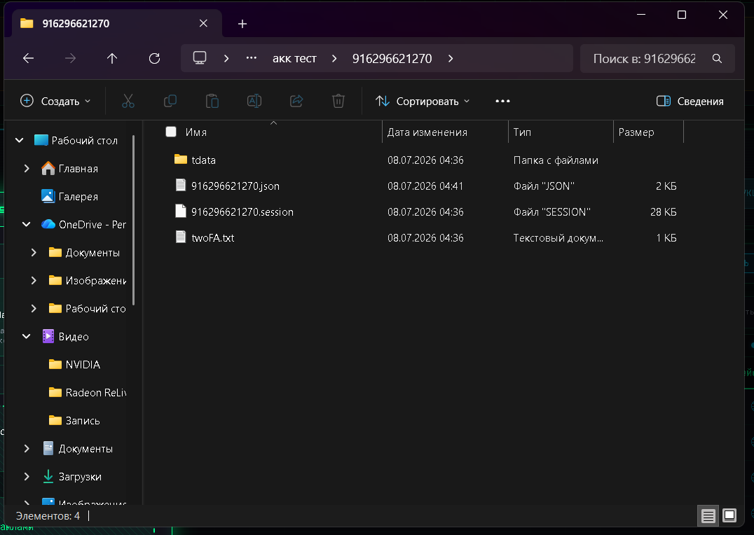 Пример папки TData